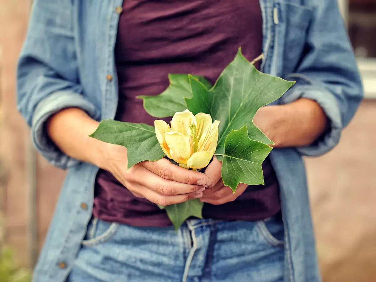 Bild 4 i en bildkarusell