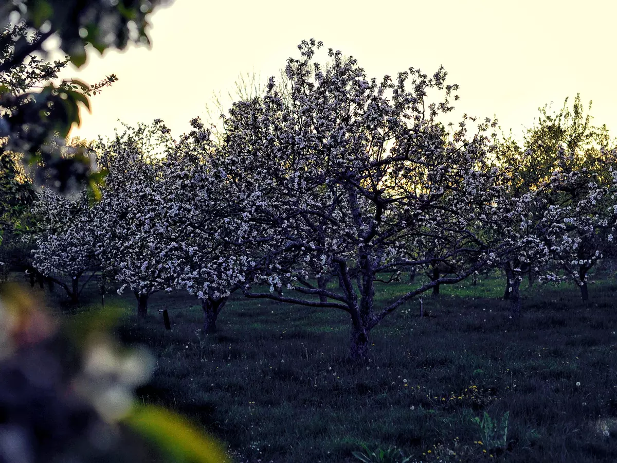 Bild 3 i en bildkarusell